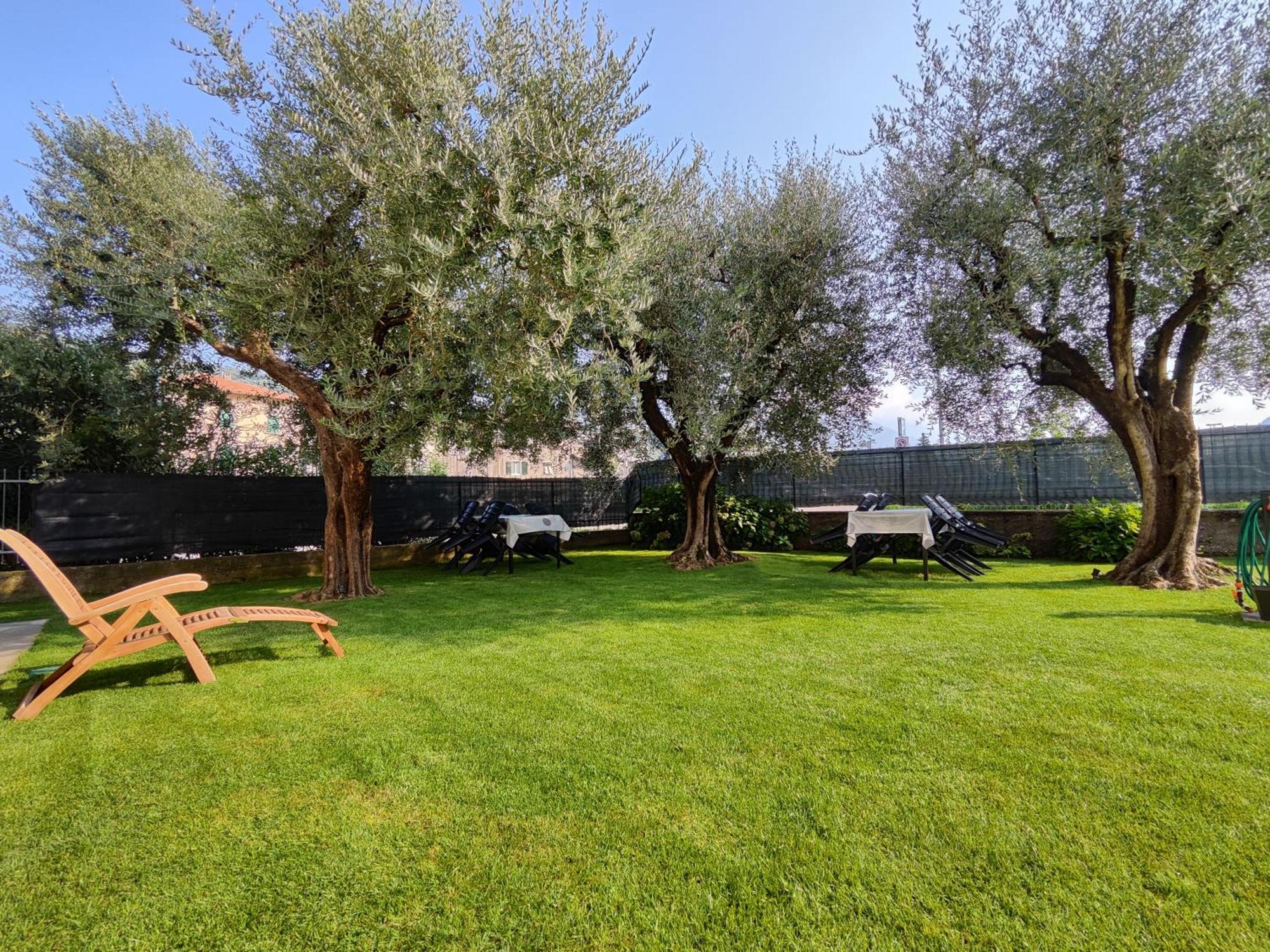 Oasi Degli Ulivi * Riva del Garda